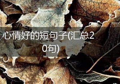 心情好的短句子(汇总20句)