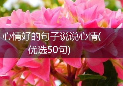 心情好的句子说说心情(优选50句)