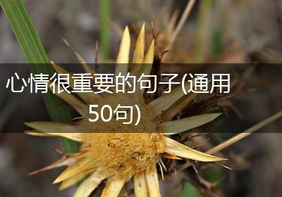心情很重要的句子(通用50句)