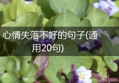 心情失落不好的句子(通用20句)