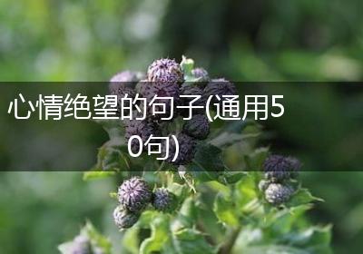 心情绝望的句子(通用50句)