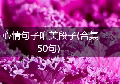 心情句子唯美段子(合集50句)