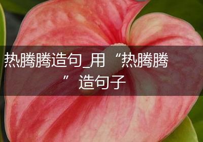 热腾腾造句_用“热腾腾”造句子