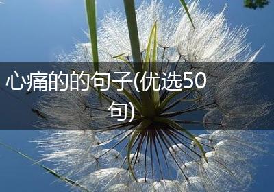 心痛的的句子(优选50句)