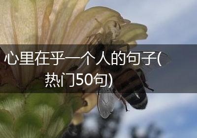 心里在乎一个人的句子(热门50句)