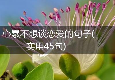 心累不想谈恋爱的句子(实用45句)