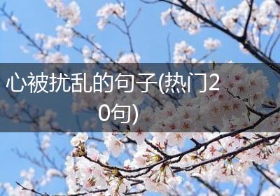 心被扰乱的句子(热门20句)
