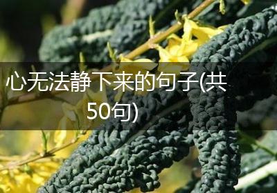 心无法静下来的句子(共50句)
