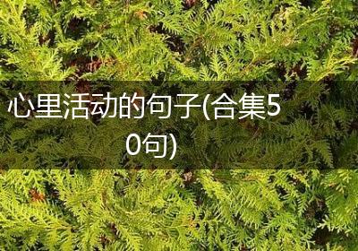 心里活动的句子(合集50句)