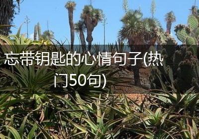 忘带钥匙的心情句子(热门50句)