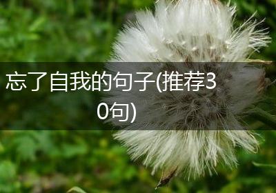 忘了自我的句子(推荐30句)