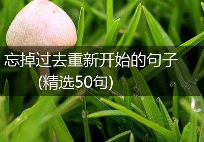 忘掉过去重新开始的句子(精选50句)