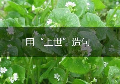用“上世”造句