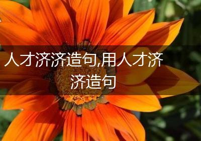 人才济济造句,用人才济济造句