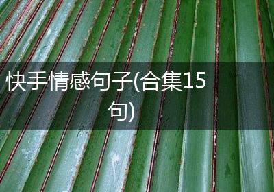 快手情感句子(合集15句)