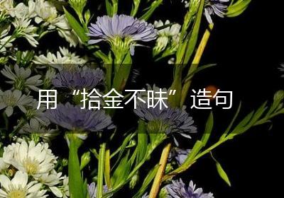 用“拾金不昧”造句