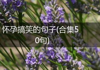 怀孕搞笑的句子(合集50句)