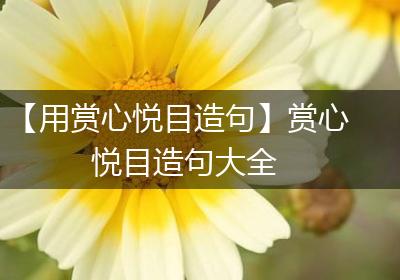 【用赏心悦目造句】赏心悦目造句大全
