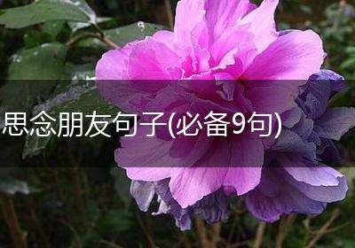 思念朋友句子(必备9句)