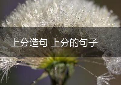上分造句 上分的句子