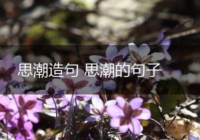 思潮造句 思潮的句子