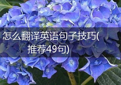 怎么翻译英语句子技巧(推荐49句)