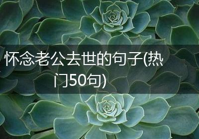 怀念老公去世的句子(热门50句)