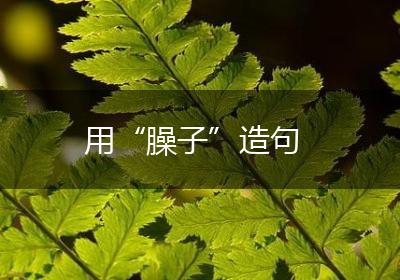 用“臊子”造句