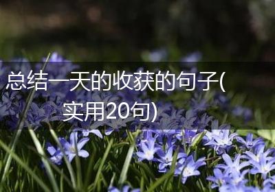 总结一天的收获的句子(实用20句)