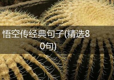 悟空传经典句子(精选80句)