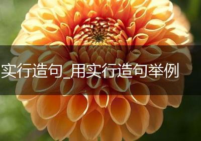 实行造句_用实行造句举例