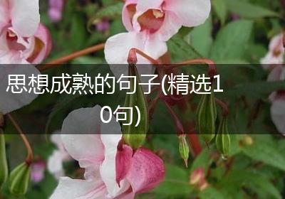 思想成熟的句子(精选10句)