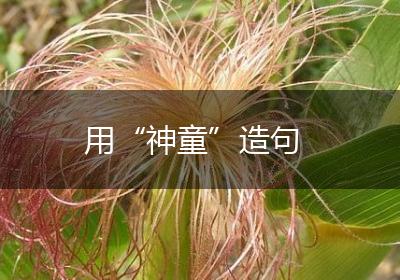 用“神童”造句