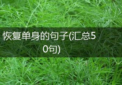 恢复单身的句子(汇总50句)