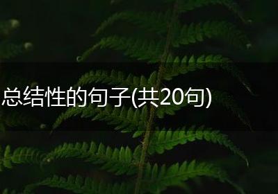 总结性的句子(共20句)