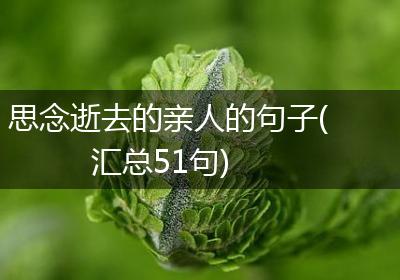 思念逝去的亲人的句子(汇总51句)