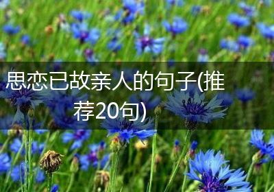 思恋已故亲人的句子(推荐20句)