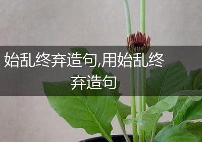 始乱终弃造句,用始乱终弃造句