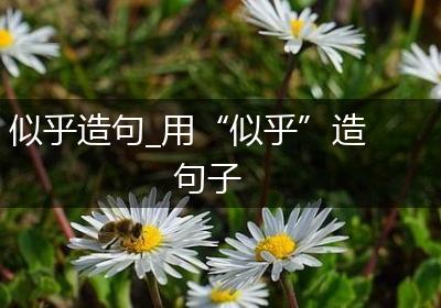 似乎造句_用“似乎”造句子