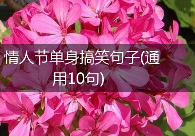 情人节单身搞笑句子(通用10句)