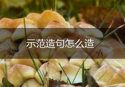 示范造句怎么造