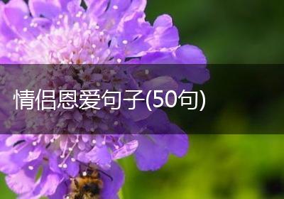 情侣恩爱句子(50句)