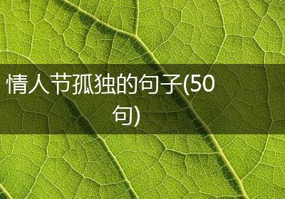 情人节孤独的句子(50句)