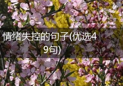情绪失控的句子(优选49句)