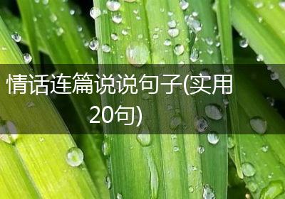 情话连篇说说句子(实用20句)