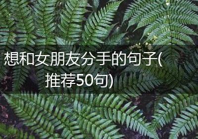 想和女朋友分手的句子(推荐50句)