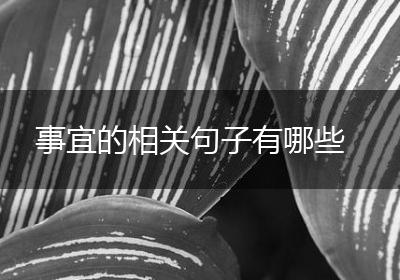 事宜的相关句子有哪些