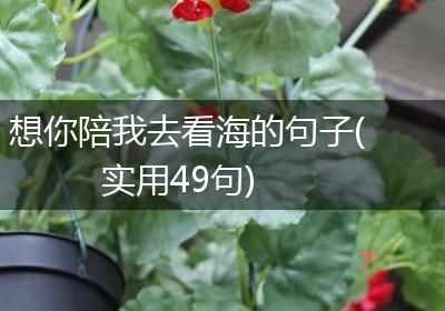 想你陪我去看海的句子(实用49句)