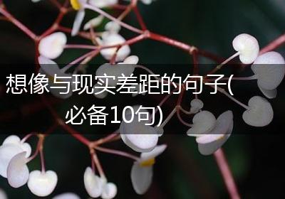 想像与现实差距的句子(必备10句)