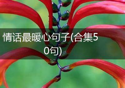 情话最暖心句子(合集50句)